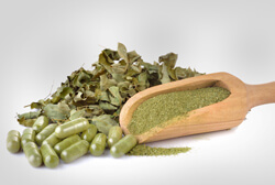 moringa leaves