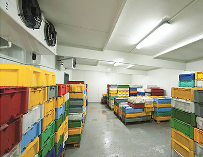 Ante Rooms in Cold Storage