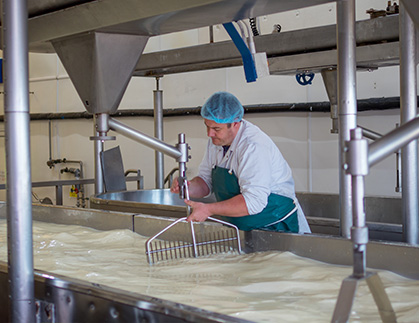 Cheese Processing Facilities
